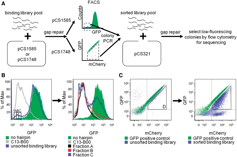 Figure 2.