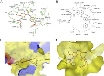 Fig. 6.