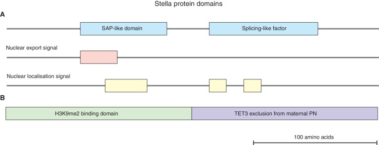 Figure 1—figure supplement 1.