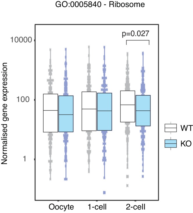 Figure 2—figure supplement 1.