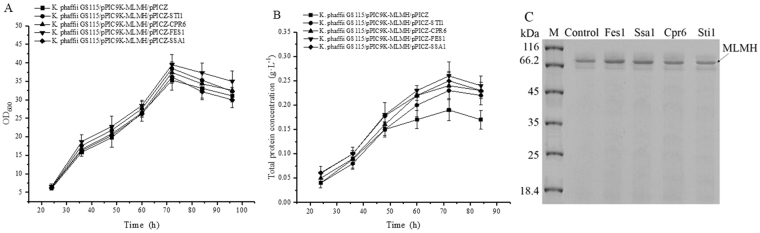 Figure 7