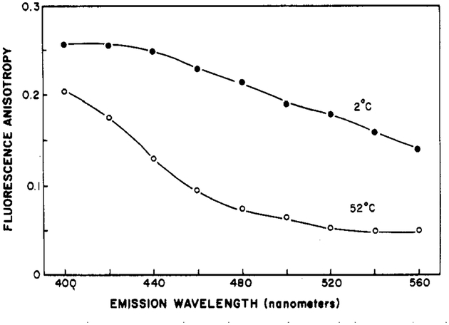 FIGURE 11: