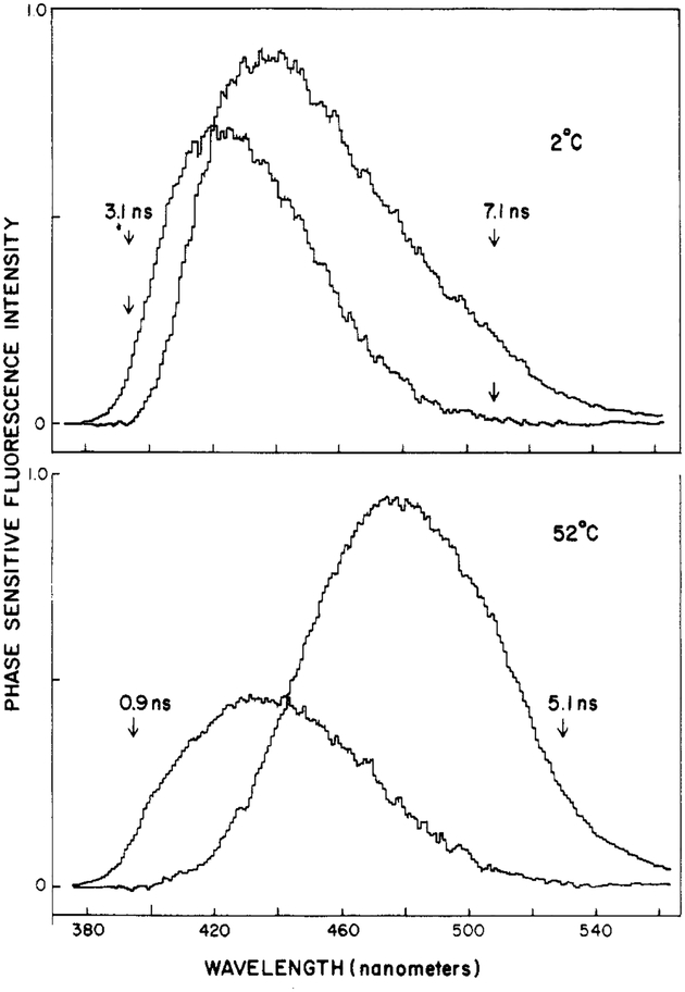 FIGURE 10: