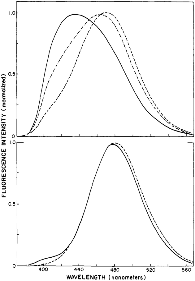 FIGURE 5: