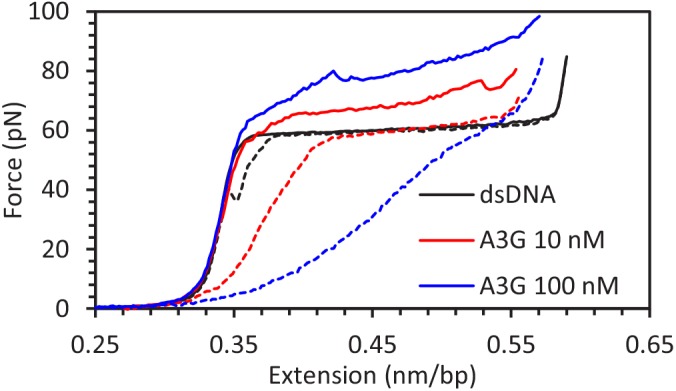 Figure 5—figure supplement 2.