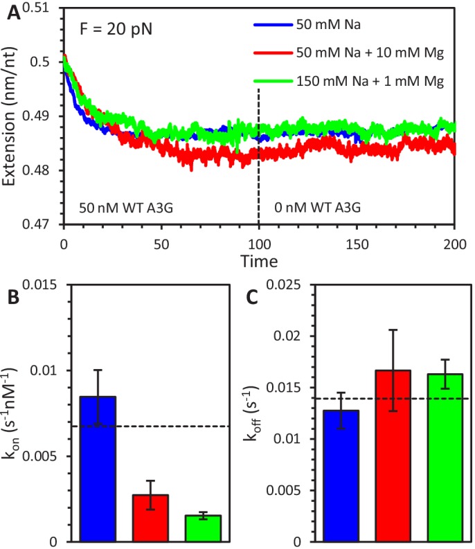 Figure 2—figure supplement 1.