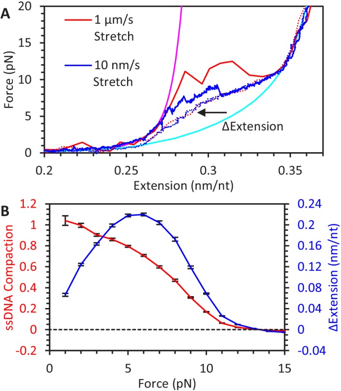 Figure 5—figure supplement 1.