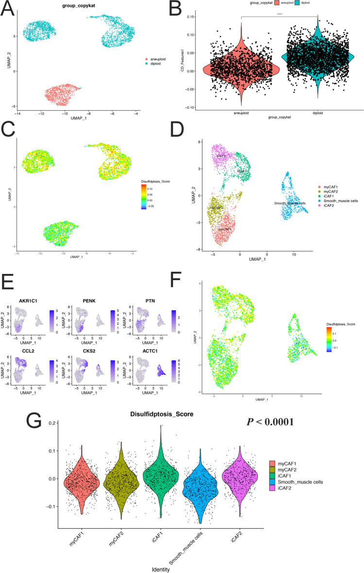 Fig.7