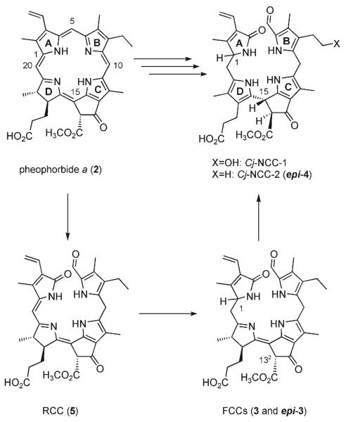 Scheme 1