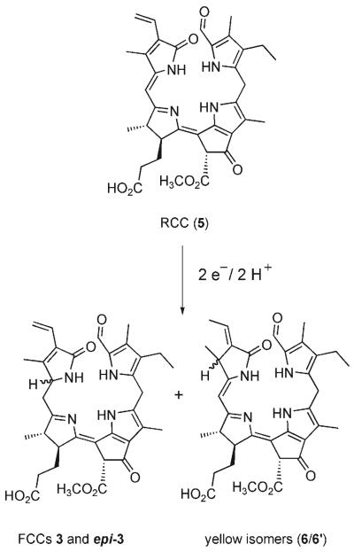 Scheme 2