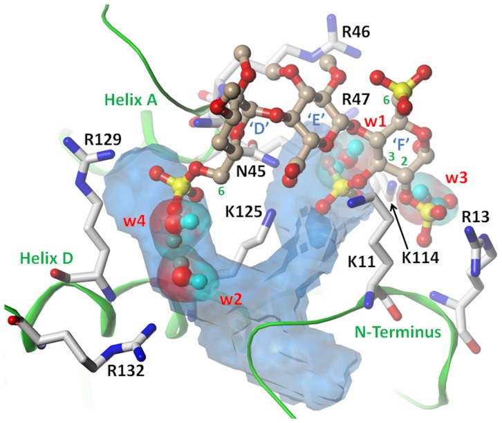 Figure 7