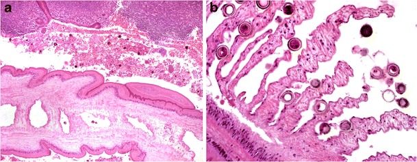 Fig. 9