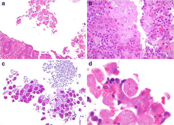 Fig. 7