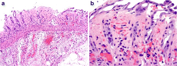 Fig. 5