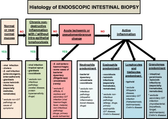 Fig. 13