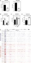 Figure 3—figure supplement 1.