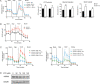 Figure 4—figure supplement 1.