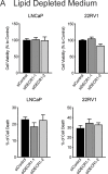 Figure 5—figure supplement 1.
