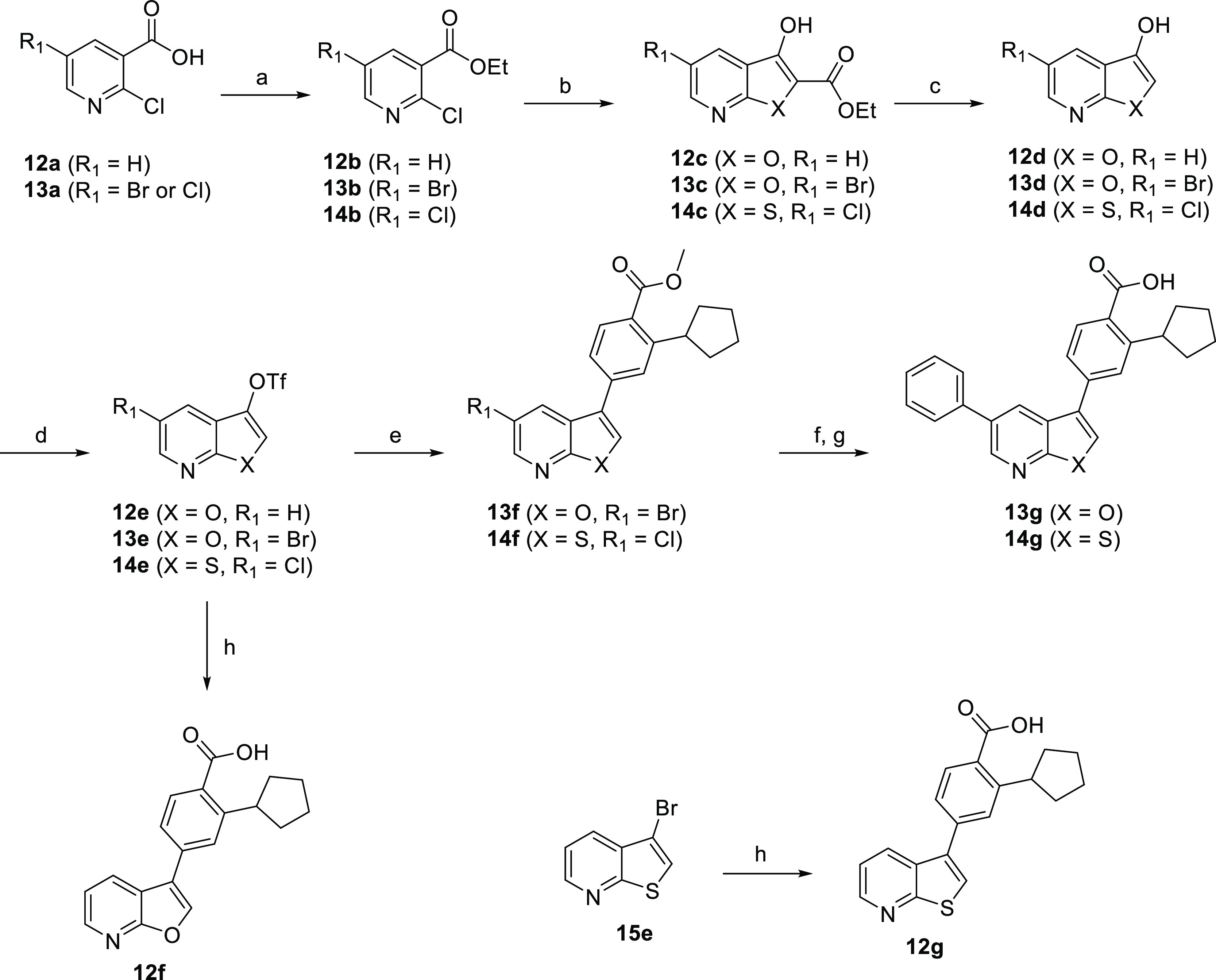 Scheme 4