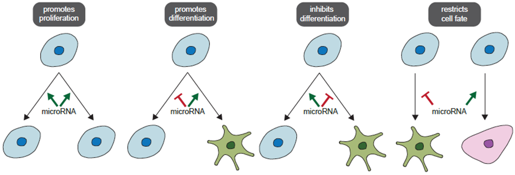 Fig 1.