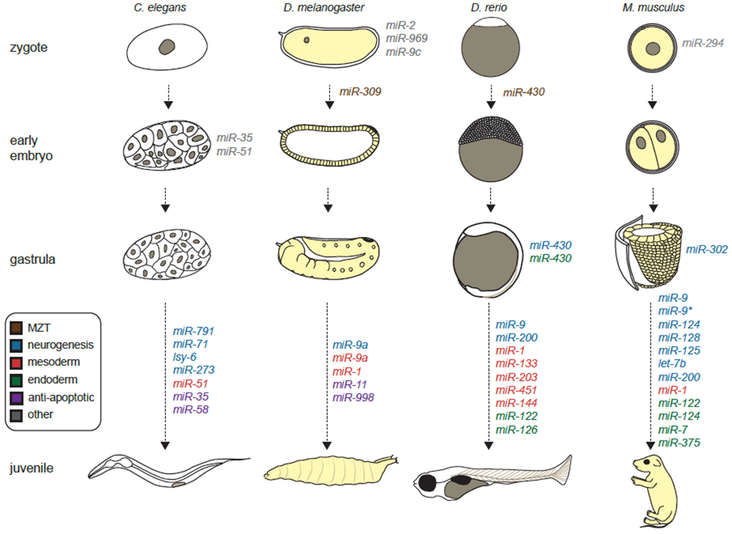 Fig 2.