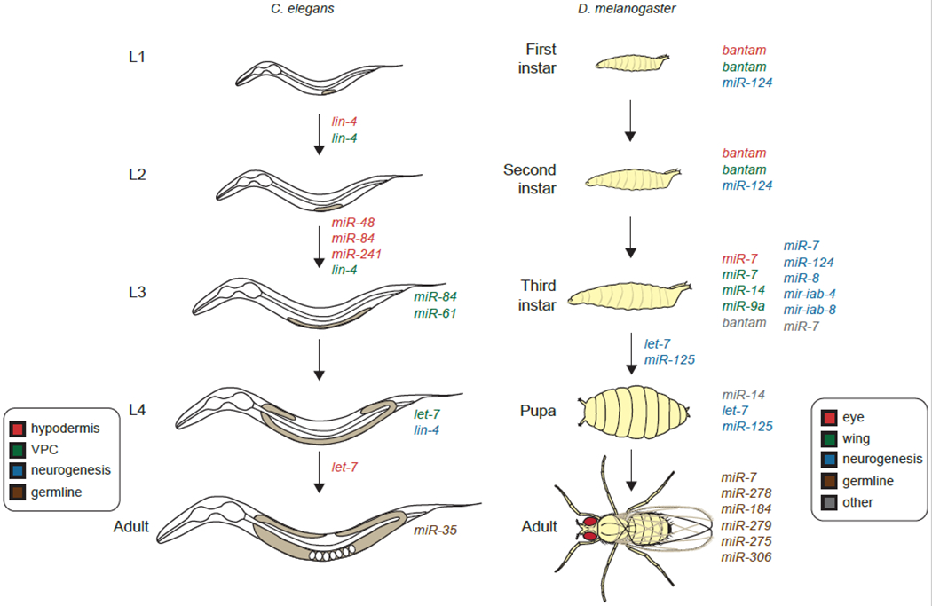 Fig 3.