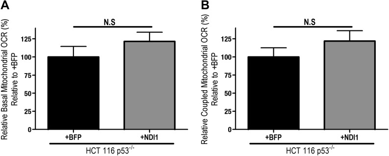 Figure 1—figure supplement 1.