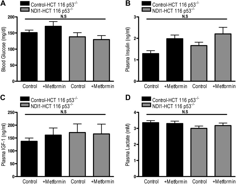 Figure 7—figure supplement 1.