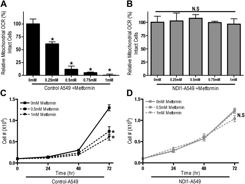 Figure 2—figure supplement 2.