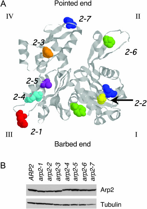 Figure 2.