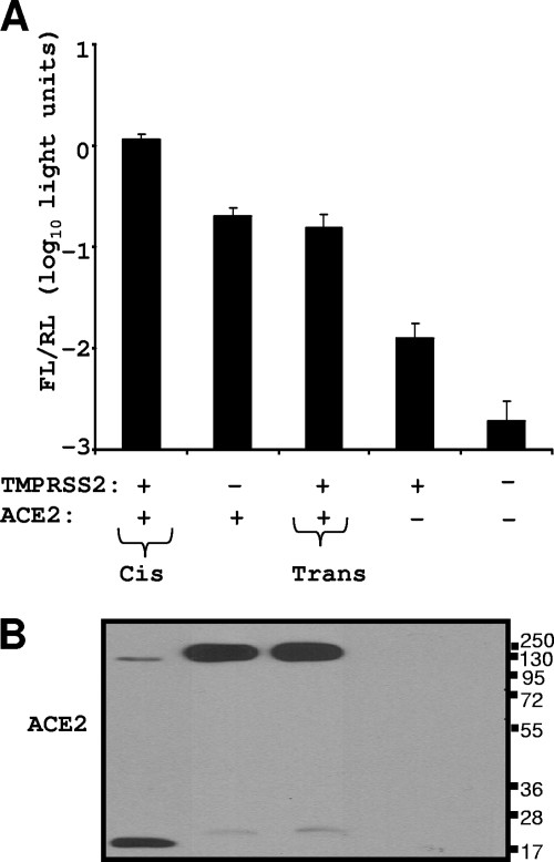 FIG. 8.