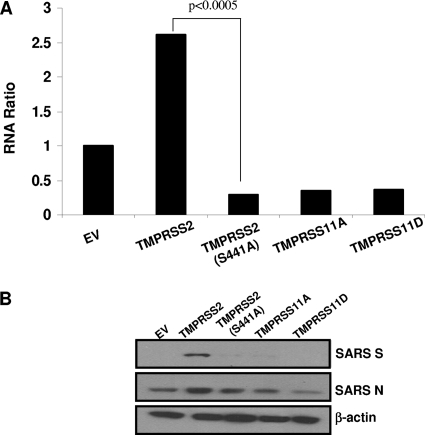 FIG. 9.