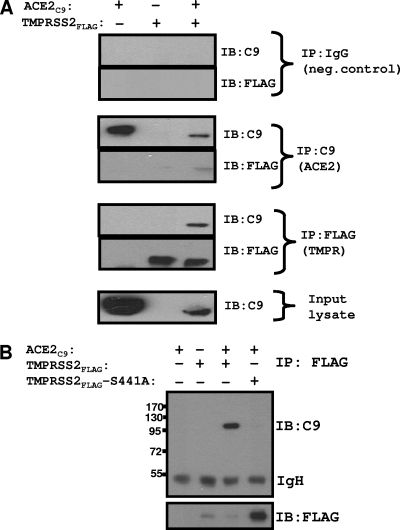 FIG. 7.