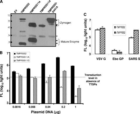 FIG. 1.