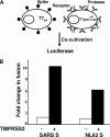 FIG. 2.