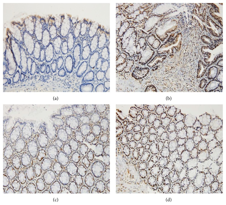 Figure 13