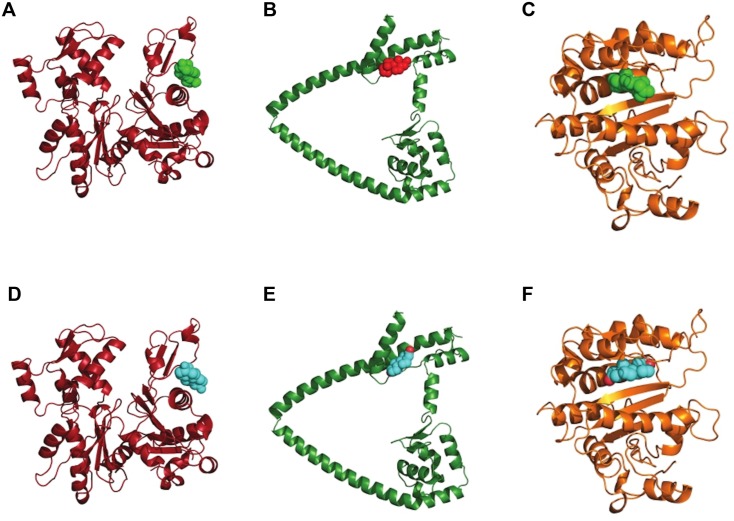 Fig 6