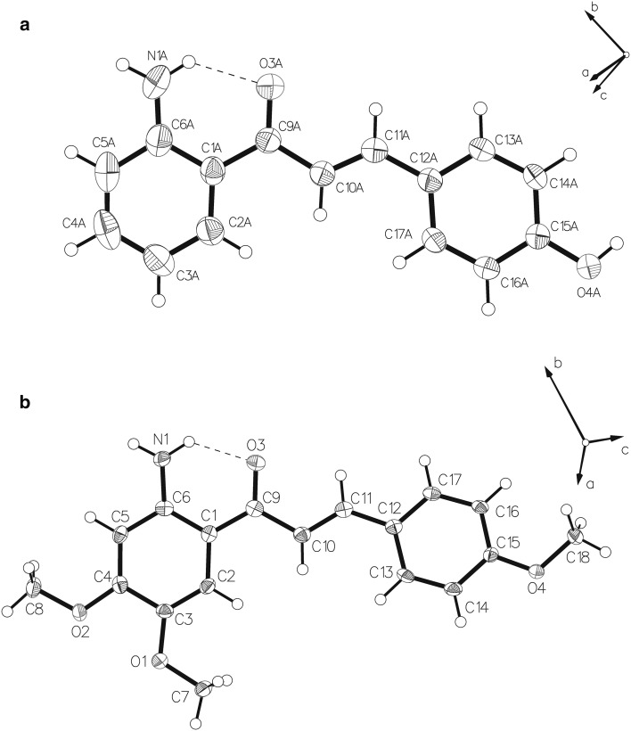 Fig. 1