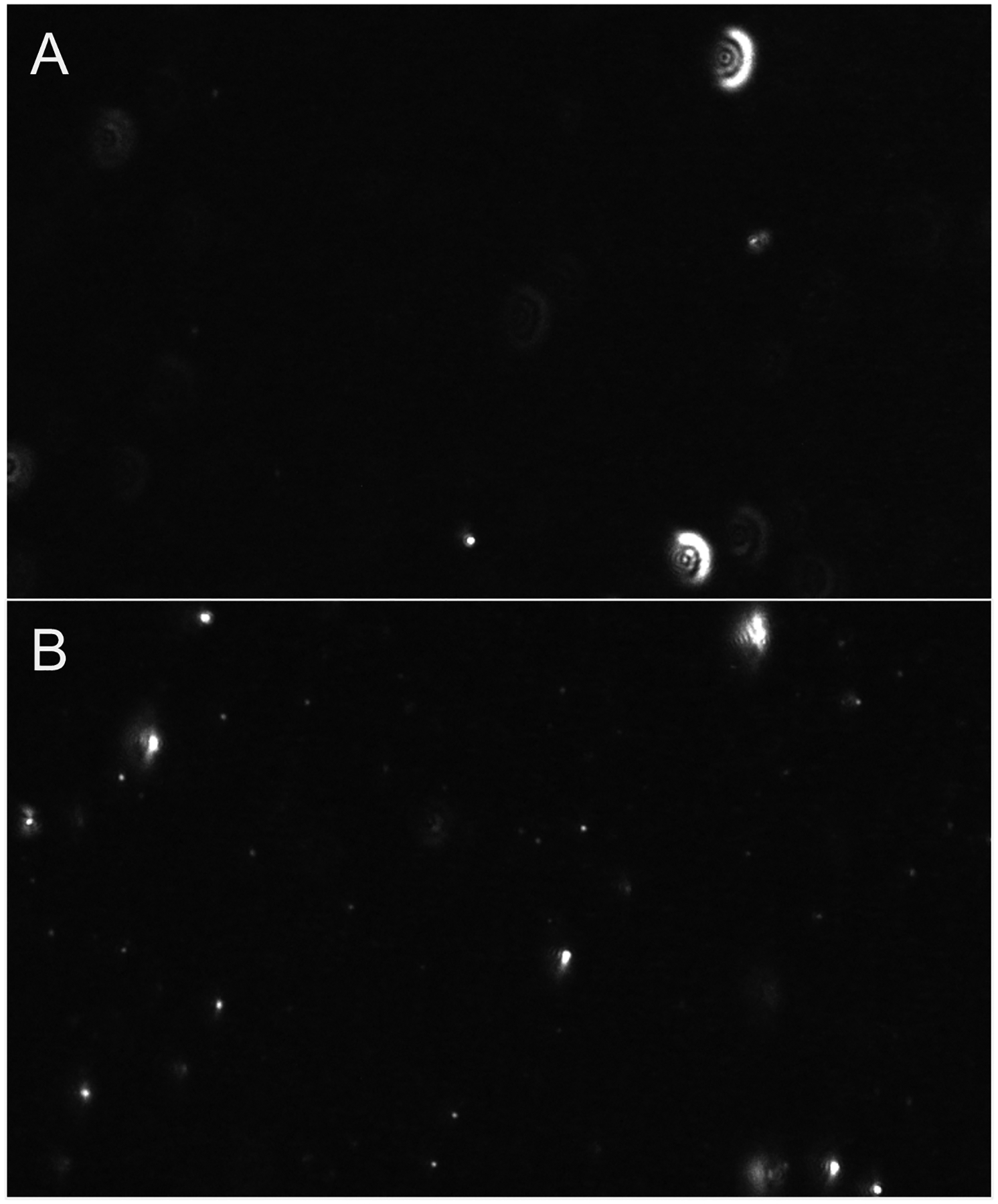 Figure 6: