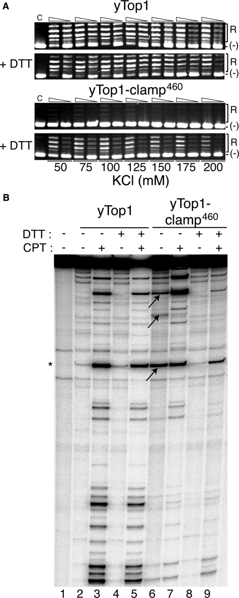 FIGURE 7.