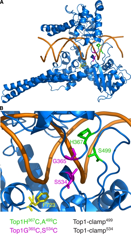 FIGURE 1.