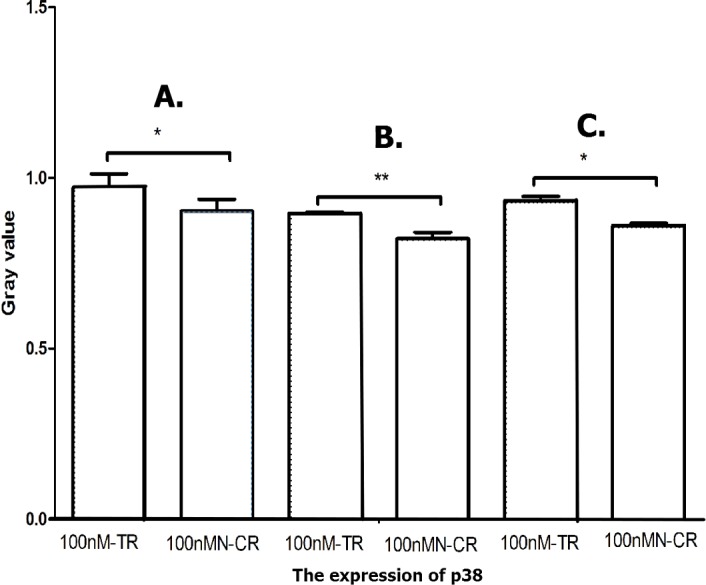 Figure 19