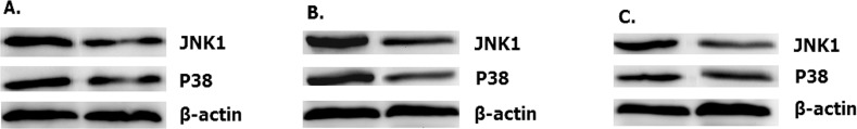 Figure 17