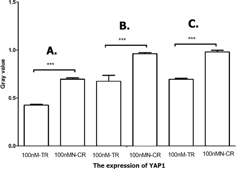 Figure 16