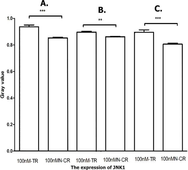 Figure 18