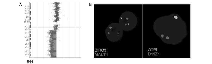 Figure 3.