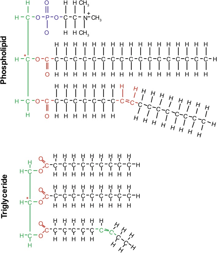 Fig. 2