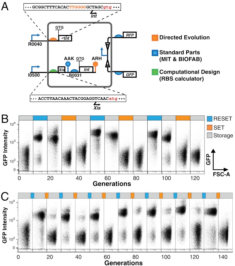 Fig. 4.