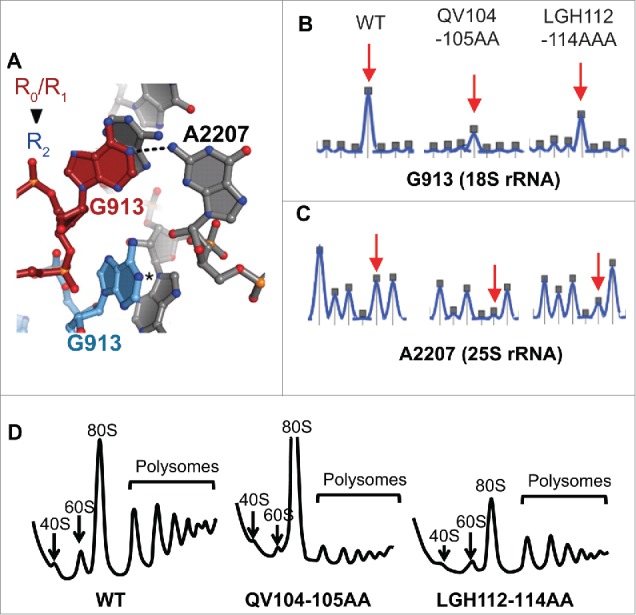 Figure 4.