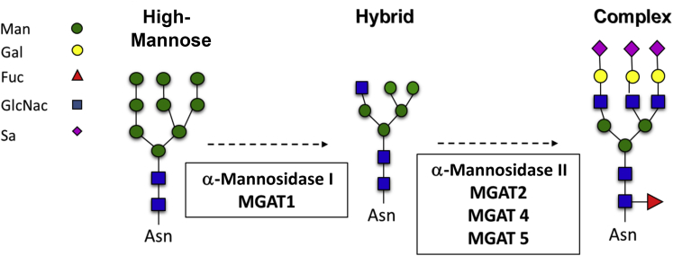 Figure 2